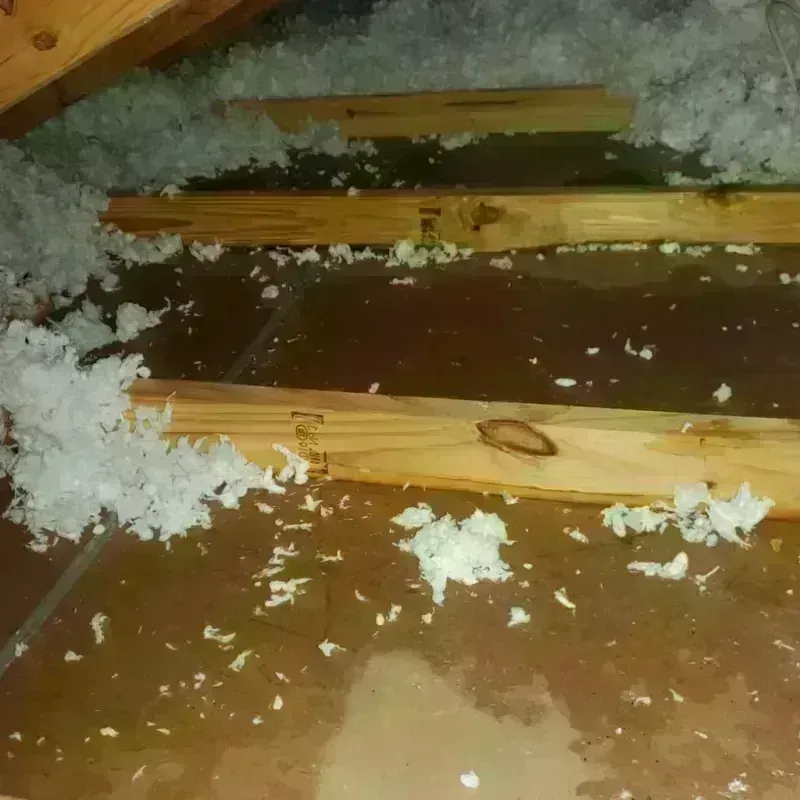 Attic Water Damage in Casselton, ND