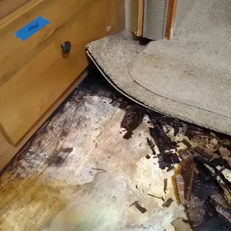 Wood Floor Water Damage in Casselton, ND